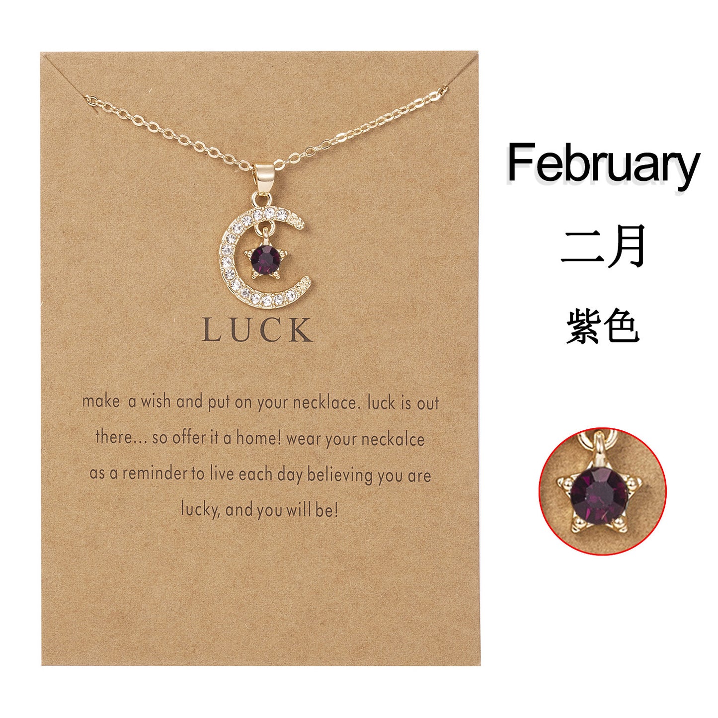 Personality Birthstone Month Necklace - December Star and Moon